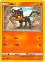 Litten - 24/149 (Water Web Holo) 24 - Miscellaneous Cards & Products Holofoil - Poke-Collect