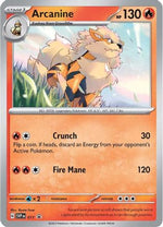 Arcanine 11 - SV Scarlet & Violet Promo Cards Holofoil - Poke-Collect