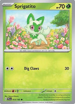 Sprigatito - 013/193 (Holo) 13 - Deck Exclusives Holofoil - Poke-Collect