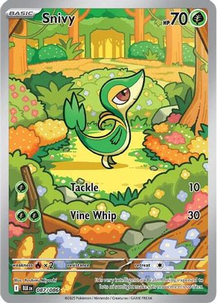 Snivy - 087/086 87 - SV Black Bolt Holofoil