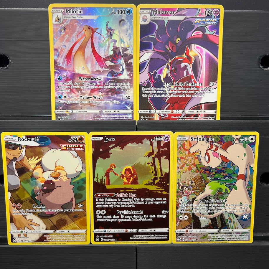 Trainer Gallery Bundle