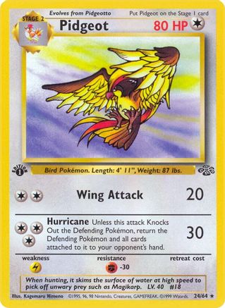 Pidgeot (24) 24/64 - Jungle 1st Edition - Poke-Collect