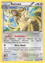 Raticate 88/122 - XY  BREAKpoint Reverse Holofoil - Poke-Collect