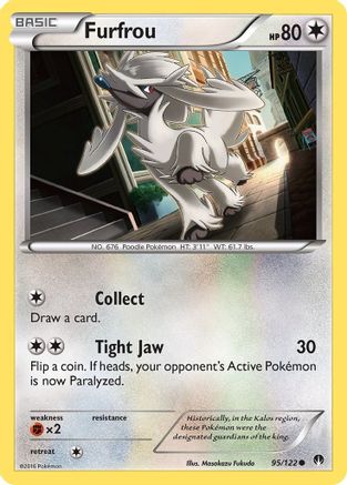 Furfrou 95/122 - XY  BREAKpoint - Poke-Collect