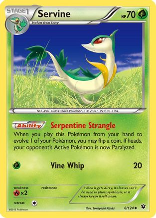 Servine 6/124 - XY  Fates Collide Reverse Holofoil - Poke-Collect