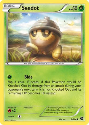 Seedot 9/114 - Steam Siege Reverse Holofoil - Poke-Collect