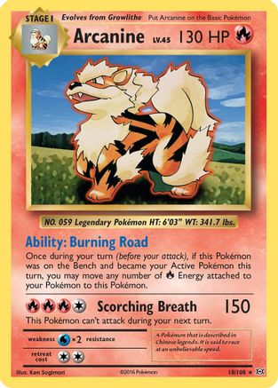Arcanine 18/108 - XY  Evolutions Reverse Holofoil - Poke-Collect