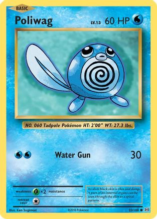 Poliwag 23/108 - XY  Evolutions Reverse Holofoil - Poke-Collect