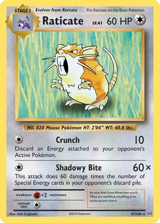 Raticate 67/108 - XY  Evolutions Reverse Holofoil - Poke-Collect