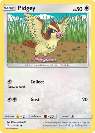 Pidgey (121) 121/181 - SM  Team Up Reverse Holofoil - Poke-Collect