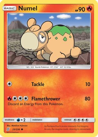 Numel 23/236 - SM  Unified Minds Reverse Holofoil - Poke-Collect