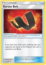 Karate Belt 201/236 - SM  Unified Minds - Poke-Collect