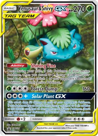 Venusaur & Snivy-GX SM229/248 - SM Black Star Promos Holofoil - Poke-Collect