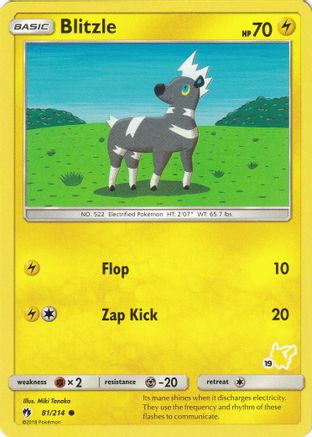 Blitzle - 81/214 (#19 Pikachu Stamped) 81 - Battle Academy - Poke-Collect