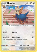 Herdier 134/203 - SWSH07 Evolving Skies - Poke-Collect