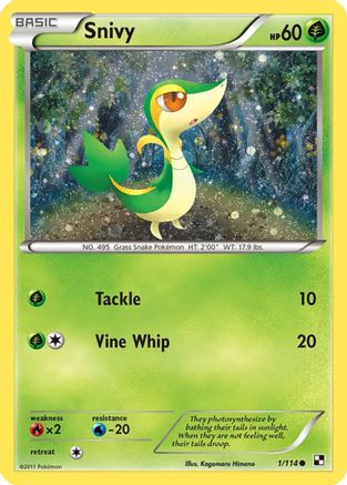 Snivy - 1/114 (Cosmos Holo) 1 - Miscellaneous Cards & Products Holofoil - Poke-Collect