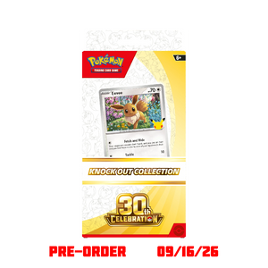 pokemon cards pick up Pokemon cards and items haul from Walmart