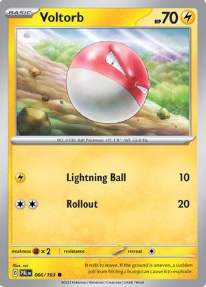 Voltorb 66 - SV02 Paldea Evolved Reverse Holofoil - Poke-Collect