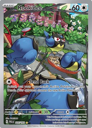 Rookidee 225 - SV02 Paldea Evolved Holofoil - Poke-Collect