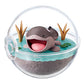 Pokemon Terrarium ex Collection Blind Box