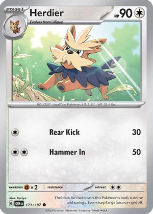 Herdier 171 - SV03 Obsidian Flames Reverse Holofoil - Poke-Collect