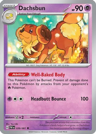 Dachsbun - 039/091 39 - SV Paldean Fates Reverse Holofoil - Poke-Collect