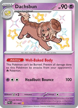 Dachsbun 161 - SV Paldean Fates Holofoil - Poke-Collect