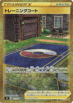 Training Court - S8 Fusion Arts - Poke-Collect