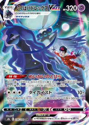 Shadow Rider Calyrex VMAX - 236/184 - S8b VMAX Climax Holofoil