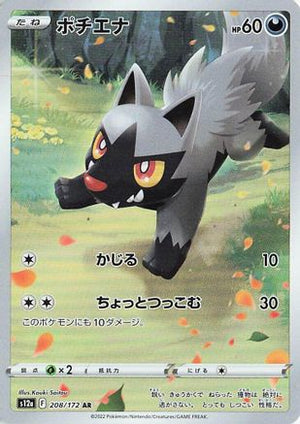 Poochyena - 208/172 - S12a VSTAR Universe Holofoil - Poke-Collect