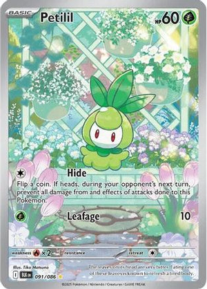 Petilil - 091/086 91 - SV Black Bolt Holofoil