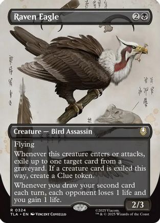 Raven Eagle (Borderless) (TLA-324) - Avatar: The Last Airbender Foil - Poke-Collect
