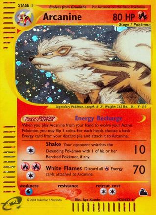 Arcanine H2/144 - Skyridge Holofoil - Poke-Collect