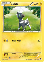 Blitzle (40) 40/114 - Black and White - Poke-Collect