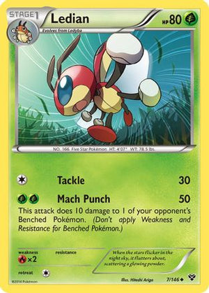 Ledian 7/146 - XY Reverse Holofoil - Poke-Collect