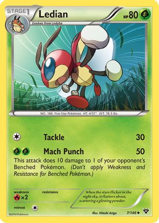 Ledian 7/146 - XY Base Set - Poke-Collect