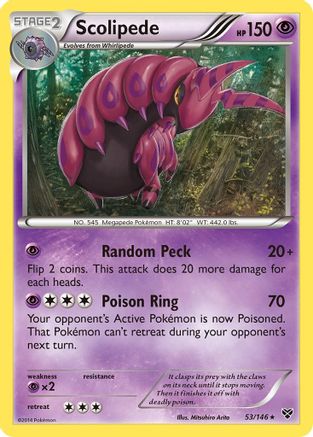 Scolipede 53/146 - XY Reverse Holofoil - Poke-Collect