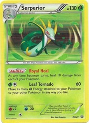 Serperior BW20/101 - BW Black Star Promos Holofoil - Poke-Collect