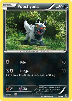 Poochyena 53/119 - XY  Phantom Forces Reverse Holofoil