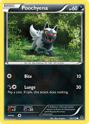 Poochyena 53/119 - XY  Phantom Forces