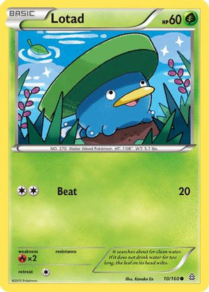 Lotad 10/160 - XY  Primal Clash