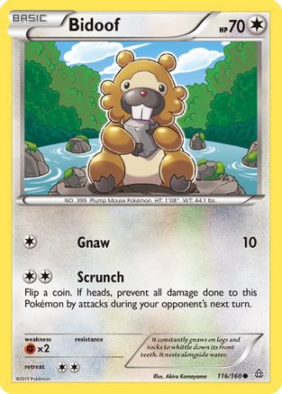 Bidoof 116/160 - XY  Primal Clash Reverse Holofoil - Poke-Collect