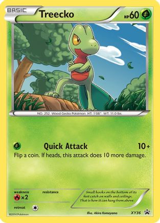 Treecko XY36/211 - XY Black Star Promos Holofoil - Poke-Collect