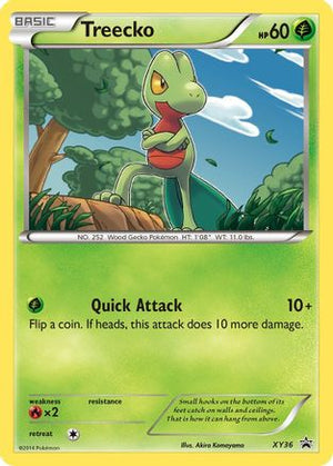 Treecko XY36/211 - XY Black Star Promos Holofoil - Poke-Collect