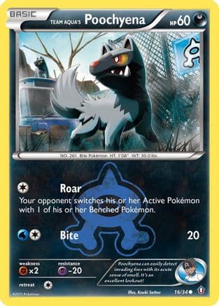 Team Aqua's Poochyena 16/34 - Double Crisis Reverse Holofoil - Poke-Collect