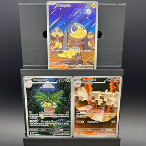 Mega Evolutions IR Bundle #2