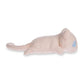 Pokémon Center Mew Pokémon Comfy Cuddlers Plush