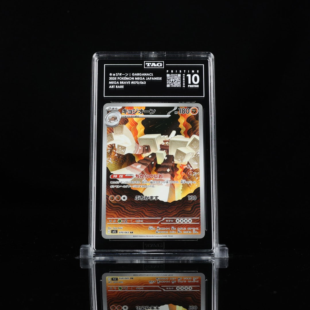 Garganacl AR m1L #070 TAG Pristine 10