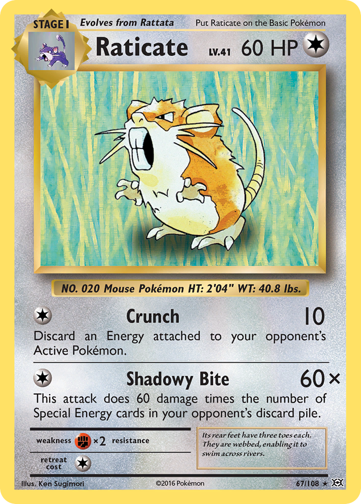 Raticate (67) [XY - Evolutions] - Poke-Collect