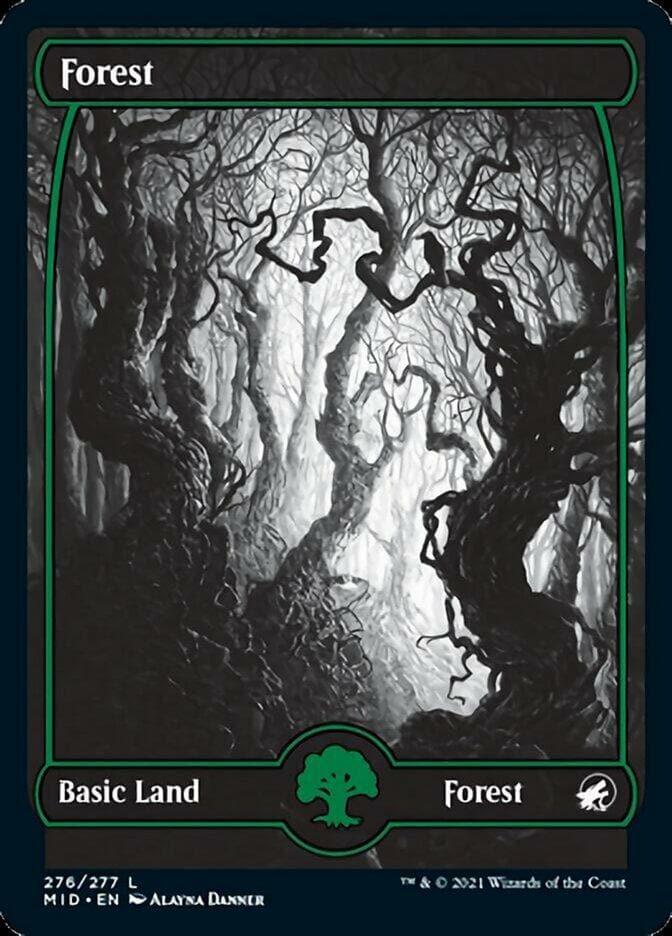 Forest (276) [Innistrad: Midnight Hunt] - Poke-Collect